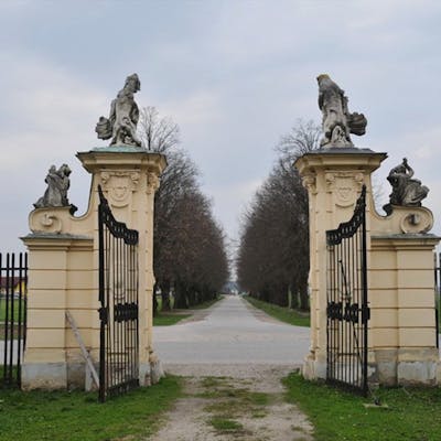 Dornava